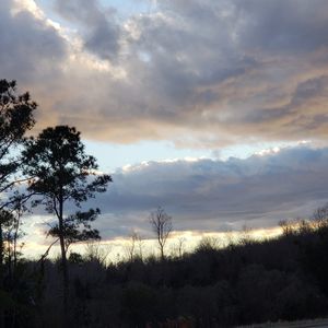 Meet your Posher, Lysa